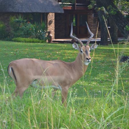 האזיביו Kruger Park Lodge - Golf Safari Sa מראה חיצוני תמונה