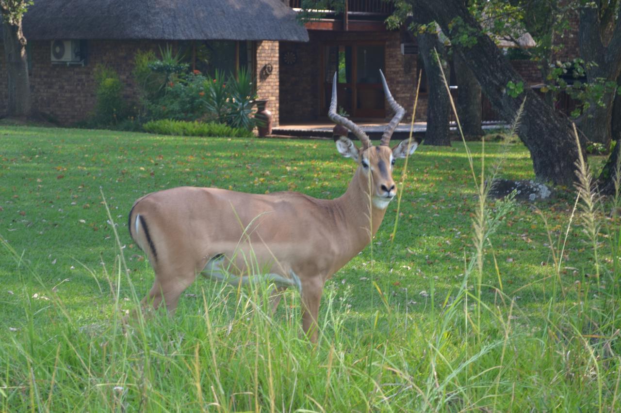 האזיביו Kruger Park Lodge - Golf Safari Sa מראה חיצוני תמונה