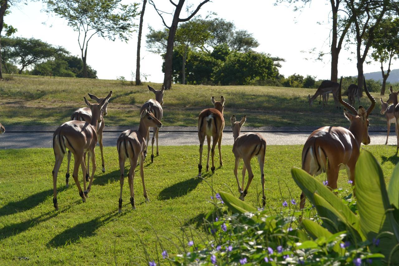 האזיביו Kruger Park Lodge - Golf Safari Sa מראה חיצוני תמונה