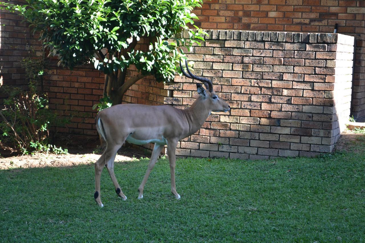 האזיביו Kruger Park Lodge - Golf Safari Sa מראה חיצוני תמונה